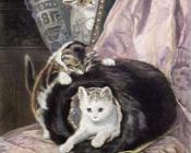 亨利艾特 罗纳 克尼普 : cats